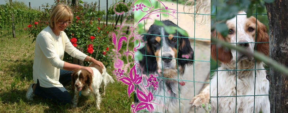 I nostri animali, e i vostri…